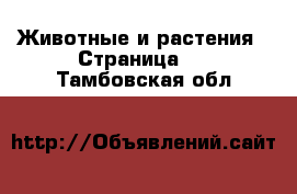  Животные и растения - Страница 9 . Тамбовская обл.